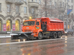 Власти Ростова потратят на уборку и озеленение города около 9 млрд рублей до 2025 года