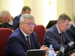 Голубев заявил, что средняя зарплата в Ростовской области выросла на 15%  