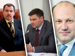 Один из замов Василия Голубева за год разбогател почти в 4 раза