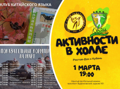 Обсуждаем игры по-китайски, угощаем слонов и идем на «Детский матч»: куда пойти в Ростове в эти выходные