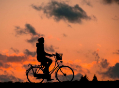 В Ростове полицейские поймали серийного угонщика велосипедов