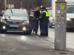 Неадекватного водителя скрутили полицейские в Ростове