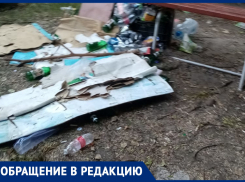 Ростовчане пожаловались на грязные детские площадки в Александровке