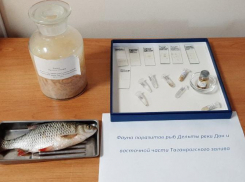 Ростовской области угрожают опасные черви-паразиты из-за роста солёности Азовского моря