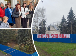 «Вернут ли ели ростовчанам»: в облсуде рассмотрели апелляцию по делу о вырубке деревьев на улице Зеленой
