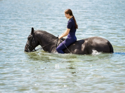 Искупаться в озере верхом на лошади: расскажем, как ростовчанам научиться верховой езде на Дону