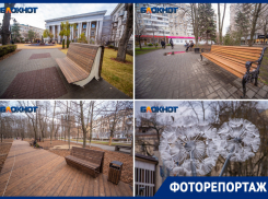 Гигантские одуванчики, эко-дорожки и неудобные лавочки: показываем, как благоустроили центр Ростова за 28 млн рублей 