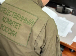 В Ростовской области пьяного гостя осудили за смертельное избиение друга 