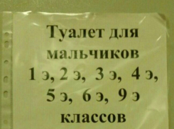 Ради учащихся элитных классов в ростовской школе у обыкновенных детей отобрали туалет