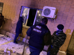 «Кому праздник, а кому – беда»: из-за пьяницы под Новый год в Ростове погибли коты и отравился ребенок
