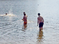 Самые смелые из ростовчан открыли весенний купальный сезон