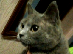 Известную трагическими беременностями красотку Эрику обнаружили под ларьком в Ростовской области