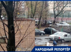 Моющий в луже морковь продавец овощей удивил жителей Ростова