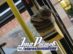 Ростовские маршрутки замерзли уже в августе