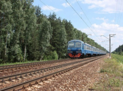В Ростове электропоезд сбил годовалую девочку, оставшуюся без присмотра 