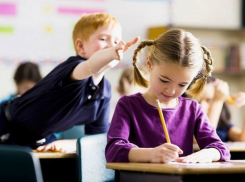 Ростовский «рассадник знаний» попал в Топ-100 лучших школ России