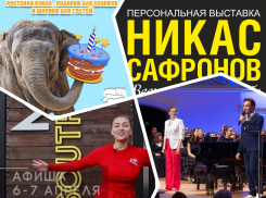 Отмечаем день рождения слонихи, посещаем орнито-фестиваль и выставку Никаса Сафронова: куда пойти в Ростове на этой неделе