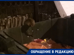 «Крысы размером с ладонь»: ростовчанку возмутили грызуны на территории новых общежитий ЮФУ