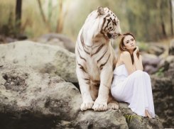 Не пора ли вам постричь киску?