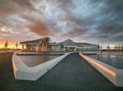 В Ростов прилетел вывозной рейс с туристами из Индонезии и Вьетнама