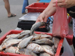 Ростовские чиновники вышли на борьбу с торговцами рыбой