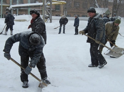 Список оплачиваемых общественных работ утвердили ростовские чиновники в правительстве 
