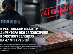 Директора НКО заподозрили в злоупотреблениях на 47 млн рублей в Ростовской области