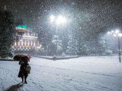 С 24-градусных морозов и снегопада начнется в Ростовской области первая рабочая неделя 2024 года