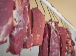 На востоке Ростовской области вскоре появится крупное предприятие по производству мяса 