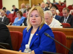 Новочеркасск может возглавить депутат Заксобрания области Елена Теплинская