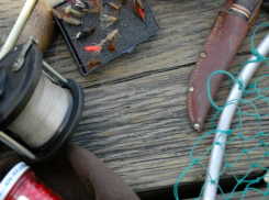 Через крышу выуживали добычу из павильона два «заядлых рыбака» в Ростовской области