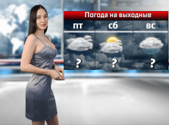 На выходных в Ростовской области ожидаются дожди и мокрый снег