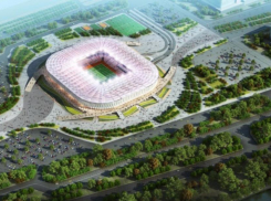 Представители FIFA и оргкомитета «Россия-2018» проинспектируют донскую арену