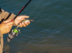 В Ростове прокуратура подала в суд на соцсеть «Вконтакте»