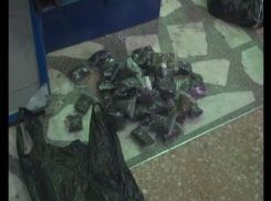 Донская полиция начнет охоту за продавцами насвая и спайсов 