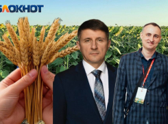 «Урожай зависит не только от погоды»: представители отрасли о прогнозах и рисках для донских фермеров