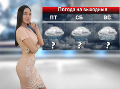 В Ростове-на-Дону на выходных ожидаются дождь с мокрым снегом и гололед