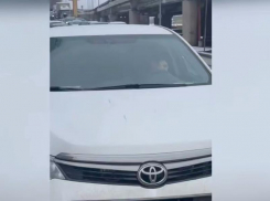 Двое полицейских спасли женщину на оживленной дороге в Ростове 