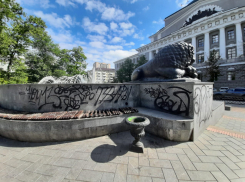 В администрации Ростова признали, что не могут бороться с вандалами