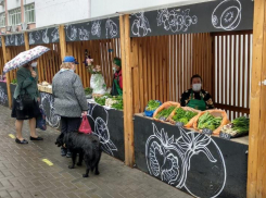 В Ростовской области возобновили работу ярмарки