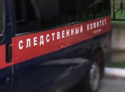 Экс-судья из Ростова попала под следствие за махинации с землей семьи Цапок