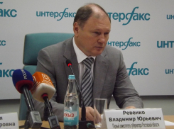 Замгубернатора Ростовской области Ревенко считает, что управляющие компании должны следить за «прилегающими территориями»