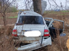 Врезались в дерево: на Дону двое молодых парней на «Ладе» погибли в ДТП  