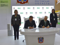 Компания сожителя Быковской построит в Ростовской области завод по производству кормов для скота