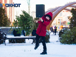 В Ростове по традиции будут сдавать и метать елки