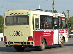 Нетрезвая ростовчанка без денег оказалась в больнице после конфликта с машрутчиком