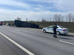 Шесть человек госпитализировали после ДТП с автобусом в Ростовской области
