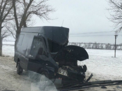 Три человека получили травмы после жуткого столкновения микроавтобуса с деревом на трассе под Ростовом