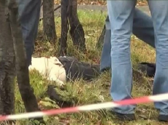 Труп соседа в камышах обнаружила ремонтировавшая дорогу женщина в Ростовской области