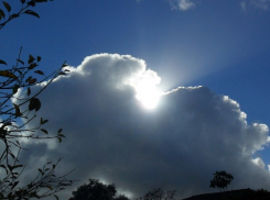 Сыро и облачно: какая погода будет в Ростове на следующей неделе